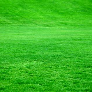 Back Yard Care Package