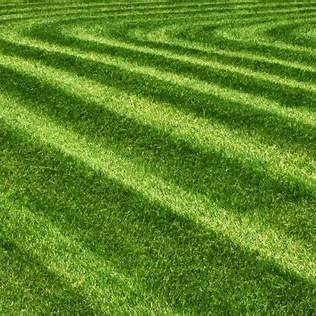 Front Yard Care Package